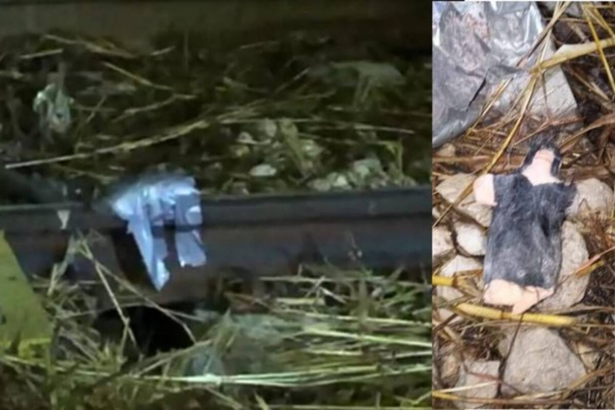 Denunciaron que en las vías había una bomba, pero todo fue un muñeco vudú con alfileres