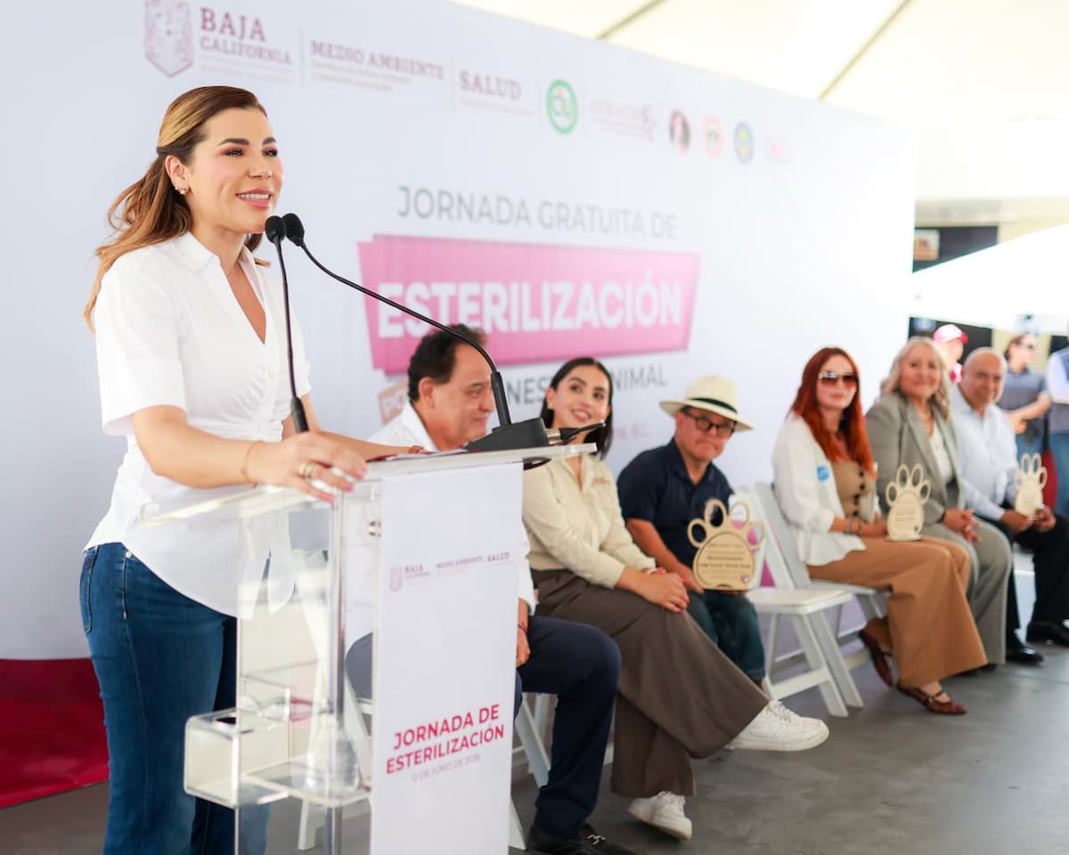 Baja California mantiene jornadas gratuitas de esterilización, vacunación y desparasitación para perros y gatos, además de promover la adopción responsable y prevenir enfermedades zoonóticas. Foto: Cortesía.