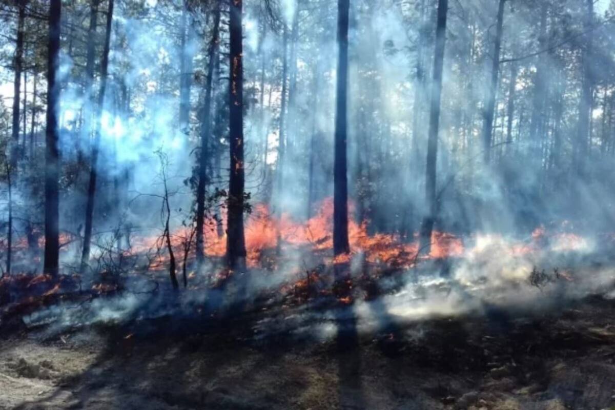 Retiran millones a presupuesto de combate de incendios