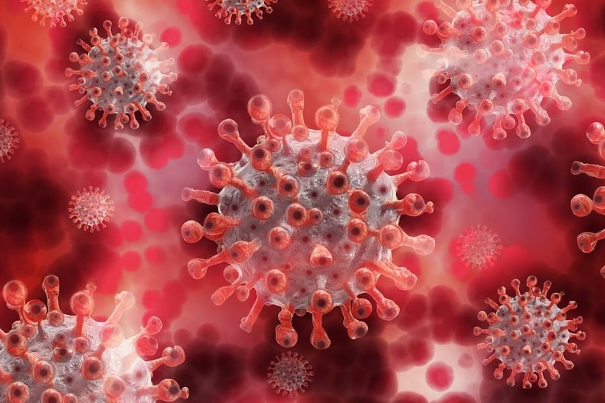 Conferencia Salud Sonora sobre coronavirus pasadas las 20:30 horas