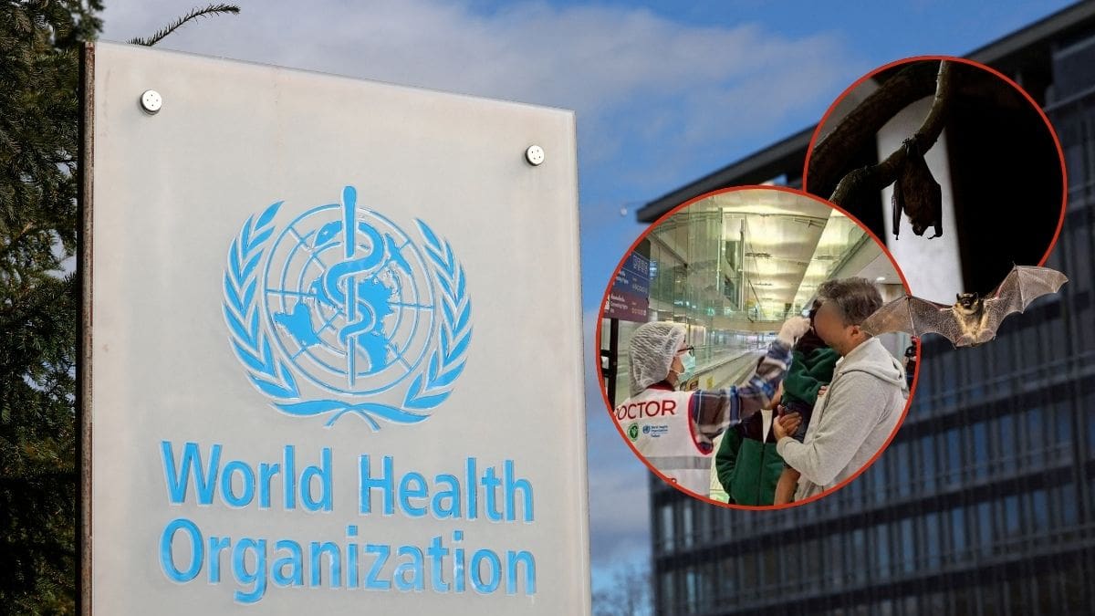 OMS aclara que no recomienda limitar viajes por virus Nipah, pese a su letalidad de hasta 75% sin vacuna ni tratamiento y explica por qué el control local es la medida más eficaz