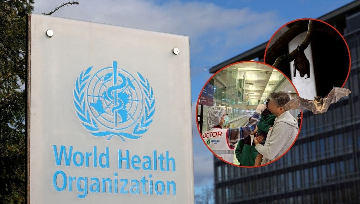 La OMS afirmó que no recomienda cerrar fronteras ni limitar viajes por los dos casos de virus Nipah detectados en India. (Foto: Especial GH)