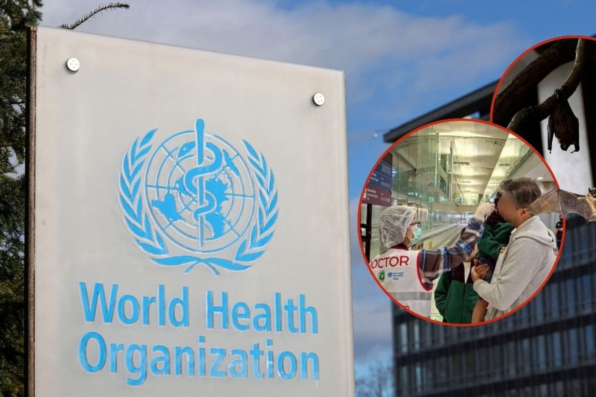 OMS aclara que no recomienda limitar viajes por virus Nipah, pese a su letalidad de hasta 75% sin vacuna ni tratamiento y explica por qué el control local es la medida más eficaz