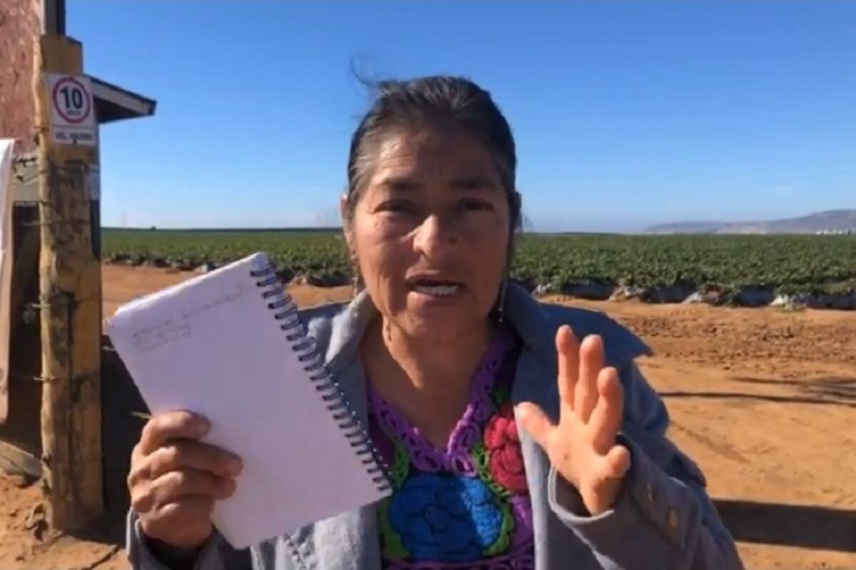 Sindja no coincide que haya crisis en el campo