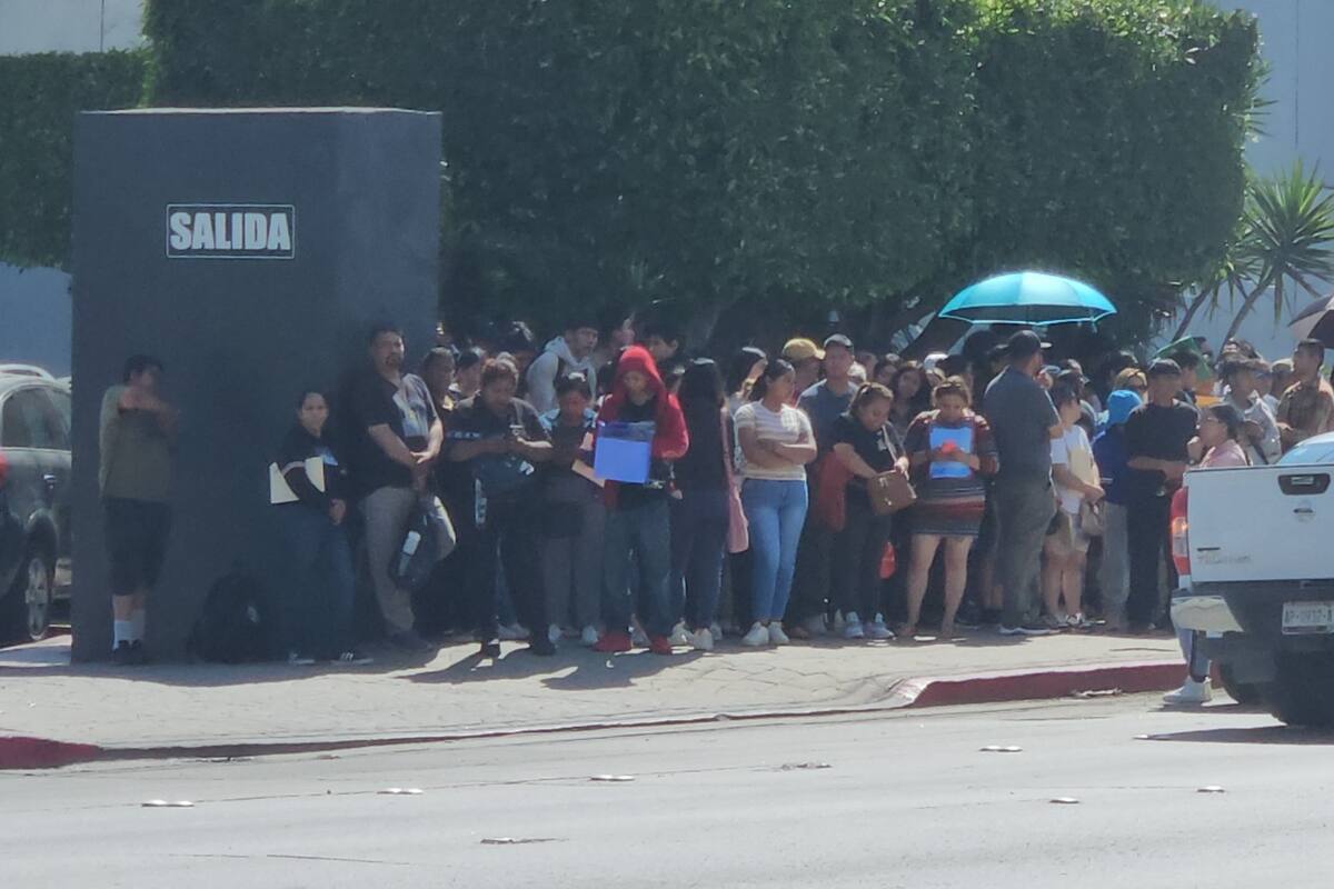 Estudiantes deben tramitar seguro social