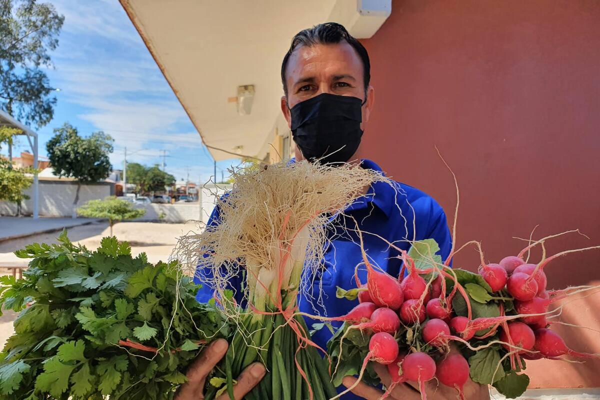 Hermosillo: El maestro Saúl siembra hortalizas y cosecha conocimiento