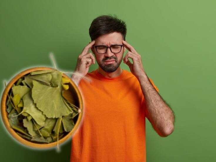 Cómo mejorar la memoria con ginkgo biloba