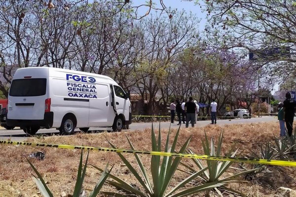 En México han asesinado a 61 políticos durante el proceso electoral: ONG