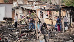 Rescatan perros tras incendio en el Cañón del Padre en Tijuana