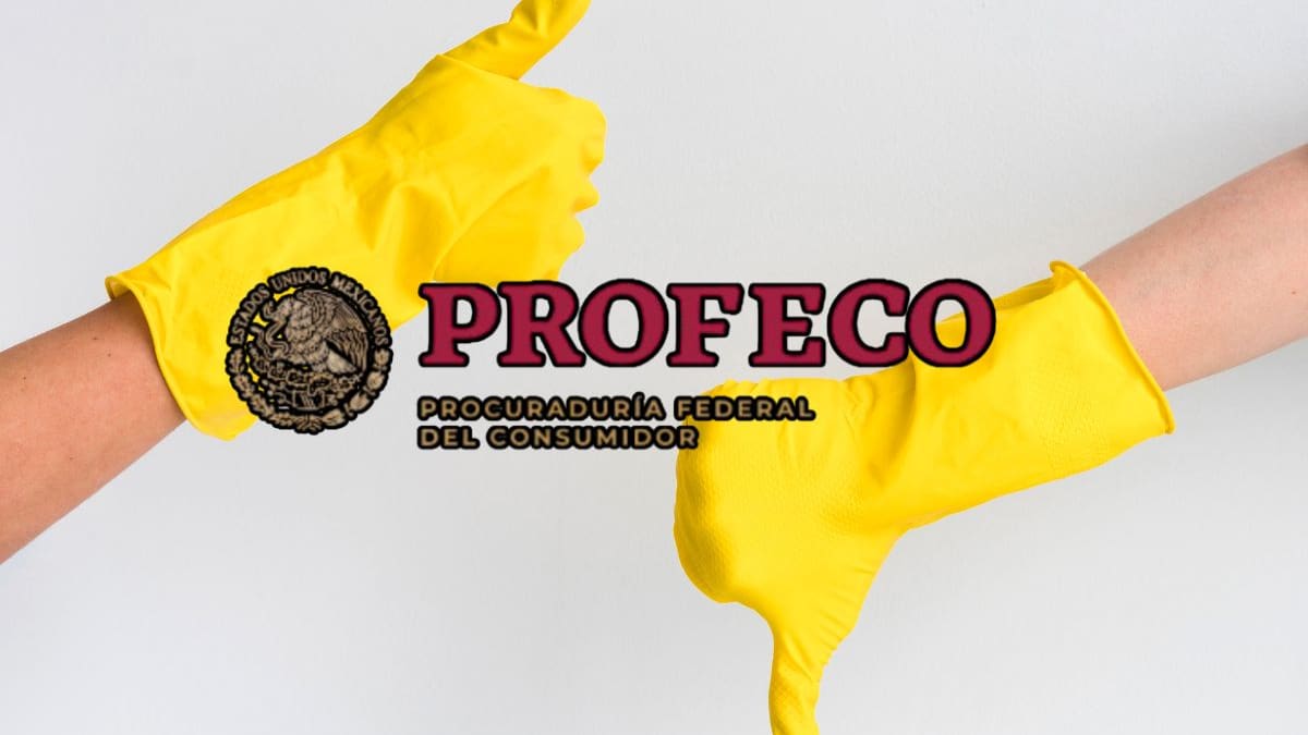 Los mejores guantes de látex para el hogar, Profeco detecta tallas más pequeñas de lo declarado y alerta sobre etiquetas incompletas en marcas populares