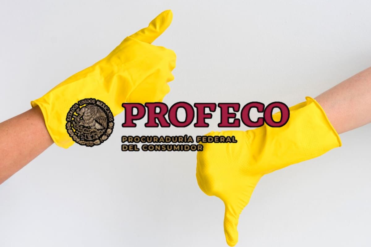 Los mejores guantes de látex para el hogar, Profeco detecta tallas más pequeñas de lo declarado y alerta sobre etiquetas incompletas en marcas populares