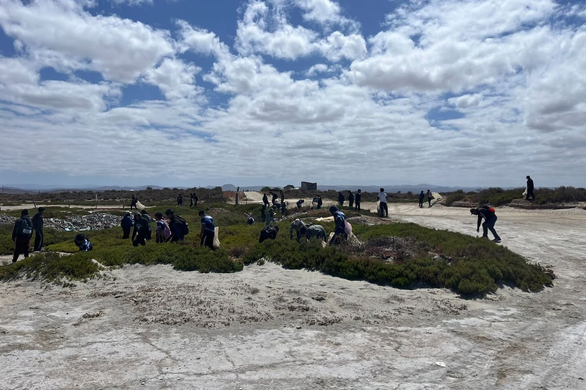 Realizan jornada de limpieza en Parque Nacional de San Quintín