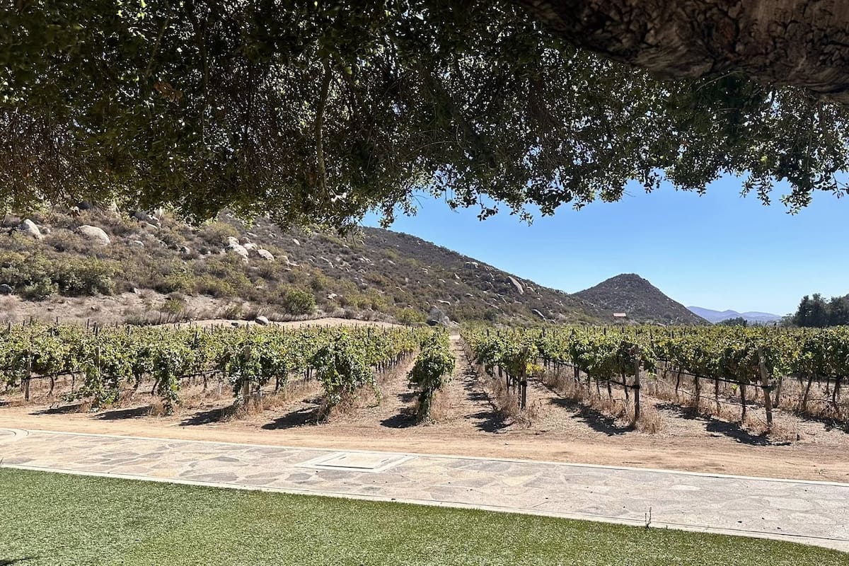Restricción de actividades ha impactado el flujo turístico en el Valle de Guadalupe