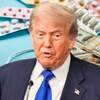 Trump pone en marcha TrumpRx para reducir el costo de medicamentos en EEUU: el sitio muestra rebajas de farmacéuticas pero no cubre seguros ni copagos y podría no ofrecer siempre el precio más bajo