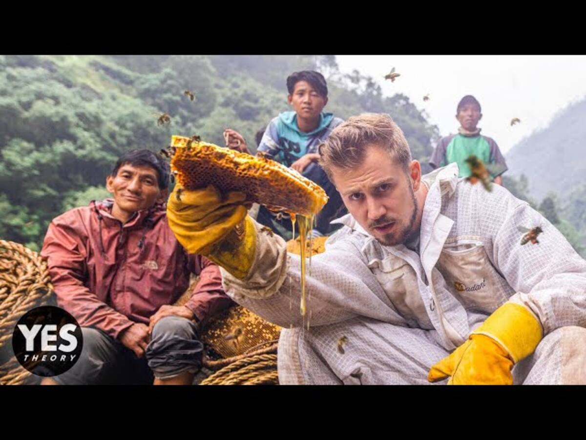 En el canal de YouTube "Yes Theory" hay un video en donde se convive con los "cazadores de miel" en Nepal.