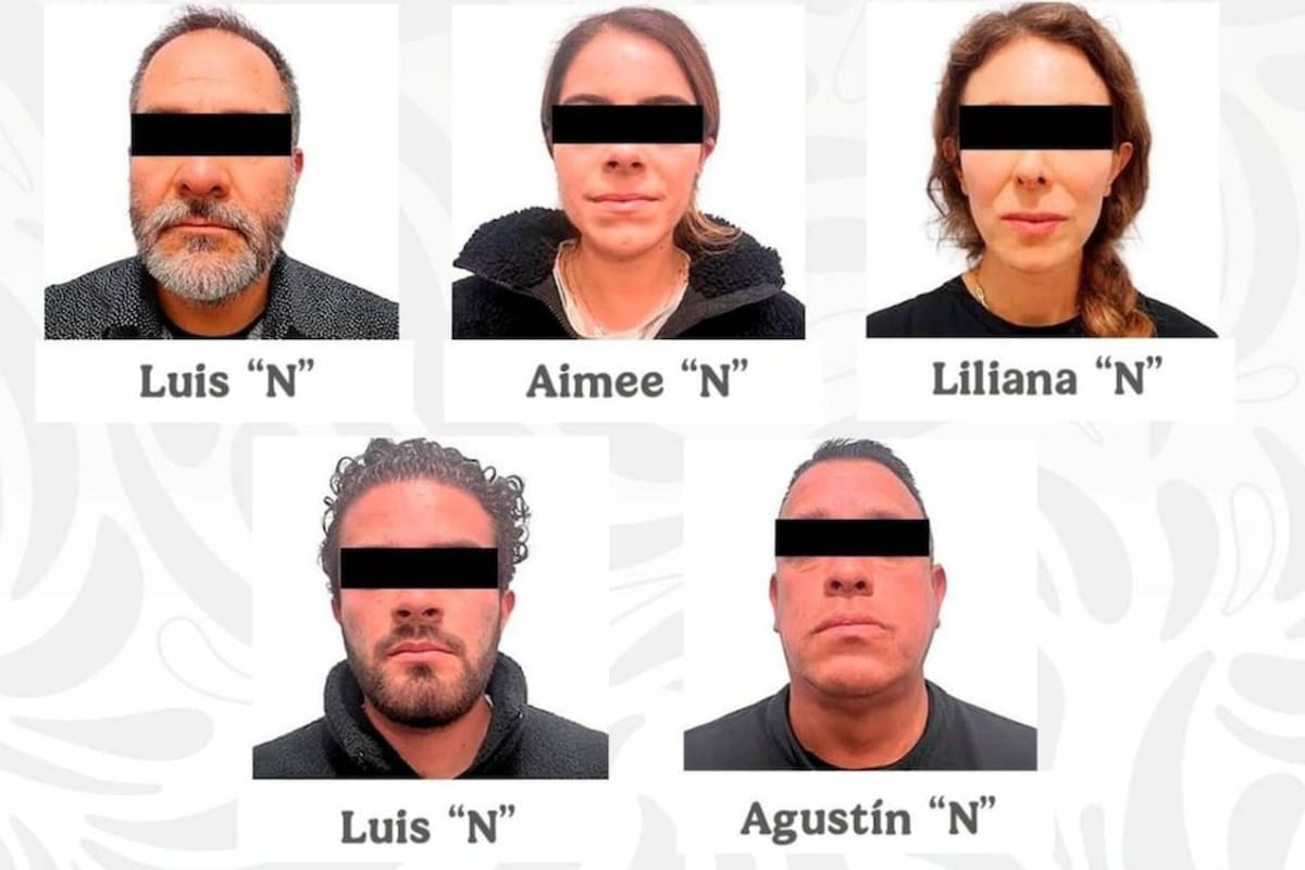 Se hacían pasar por funcionarios de la SCJN y del gobierno para defraudar y extorsionar