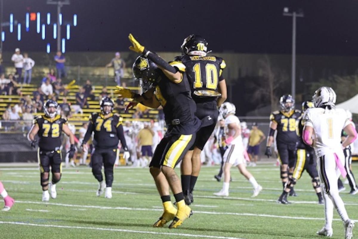 Zorros va por triunfo a Guadalajara