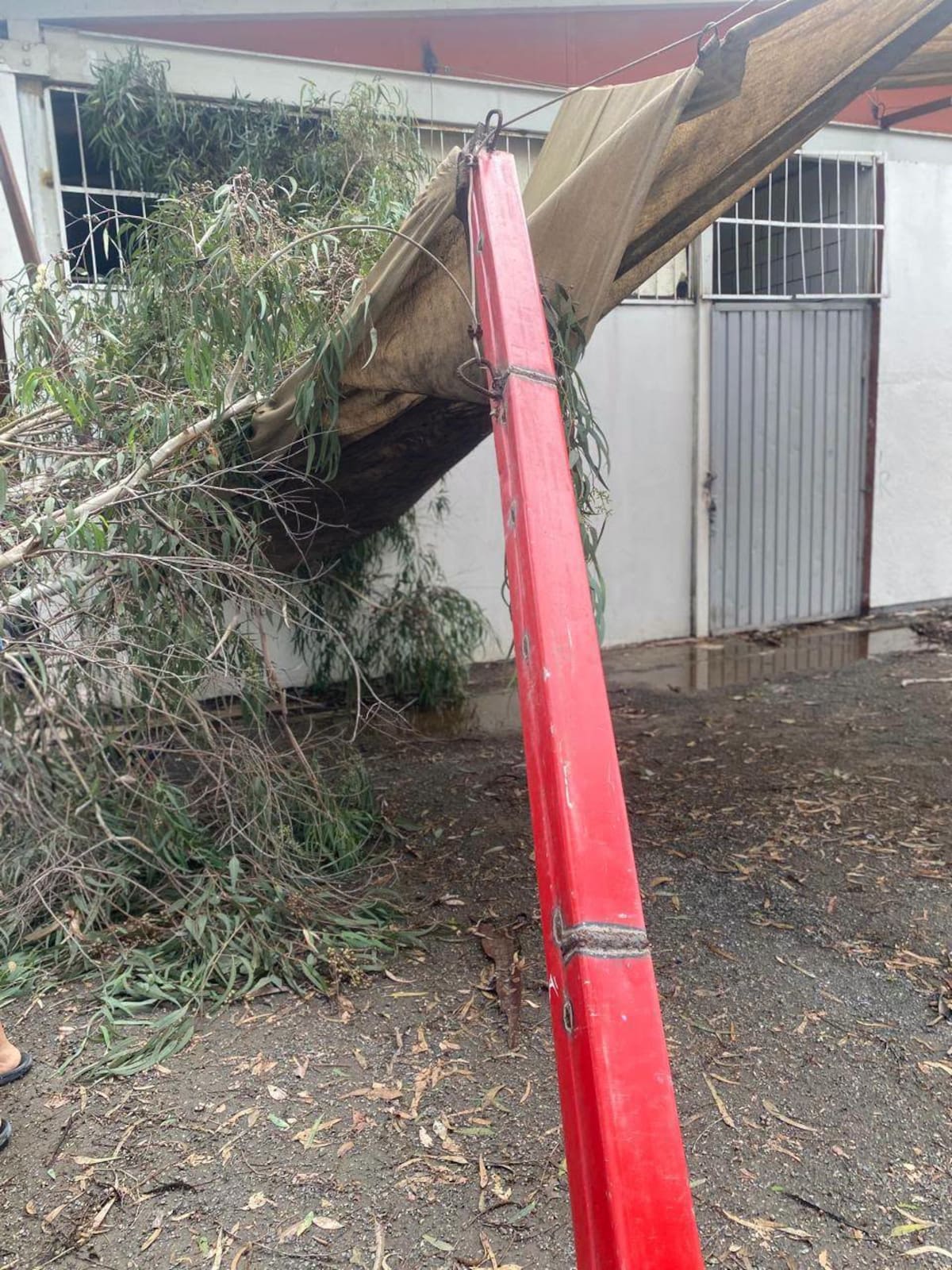 La Secundaria Diurna 2 reportó inundaciones y daños en sus instalaciones tras el paso de la tormenta Rachel. Foto: Cortesía