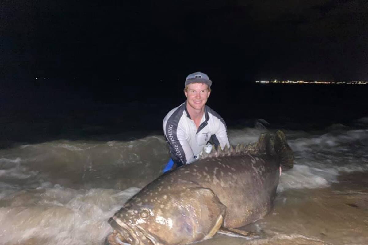 Pescador lucha 15 minutos para sacar del agua un mero gigante de 100 kilos