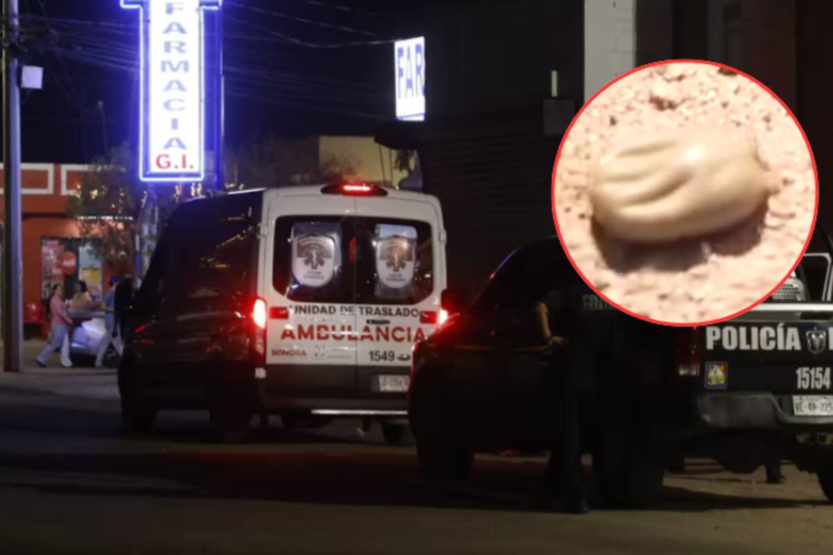 Mueren madre e hija en Puerto Peñasco: investigan posible caso de fiebre manchada por garrapatas en Sonora