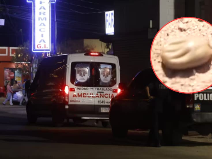 Mueren madre e hijo en Puerto Peñasco: investigan posible caso de fiebre manchada por garrapatas en Sonora