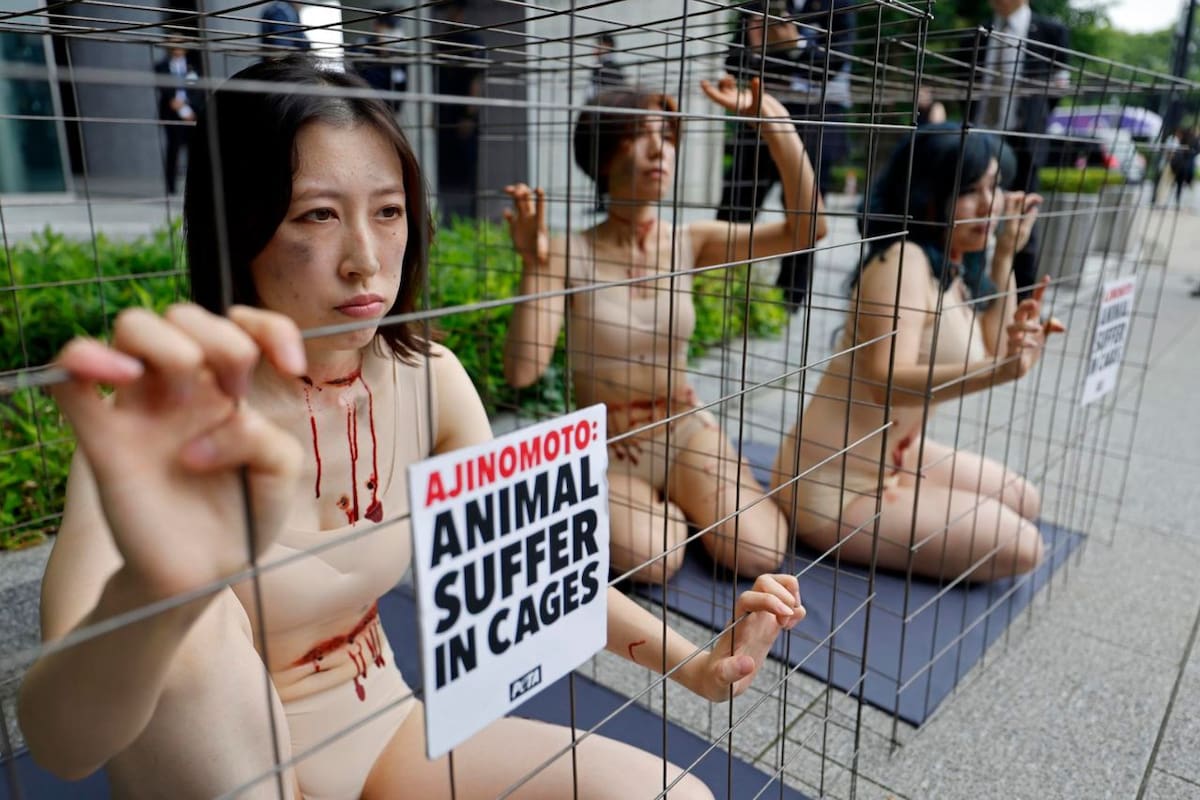 Activistas de PETA se enjaulan en Tokio para protestar contra experimentación animal de Ajinomoto
