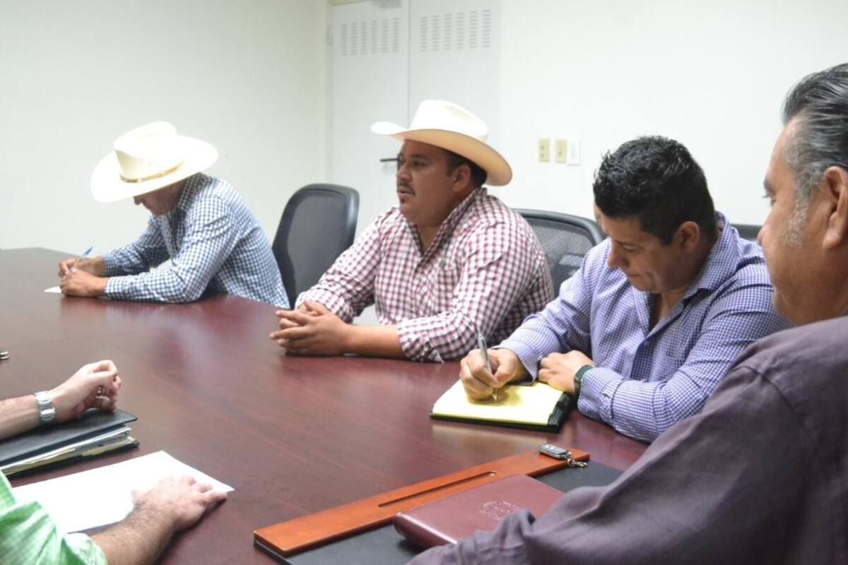 Buscan mejor precio del trigo