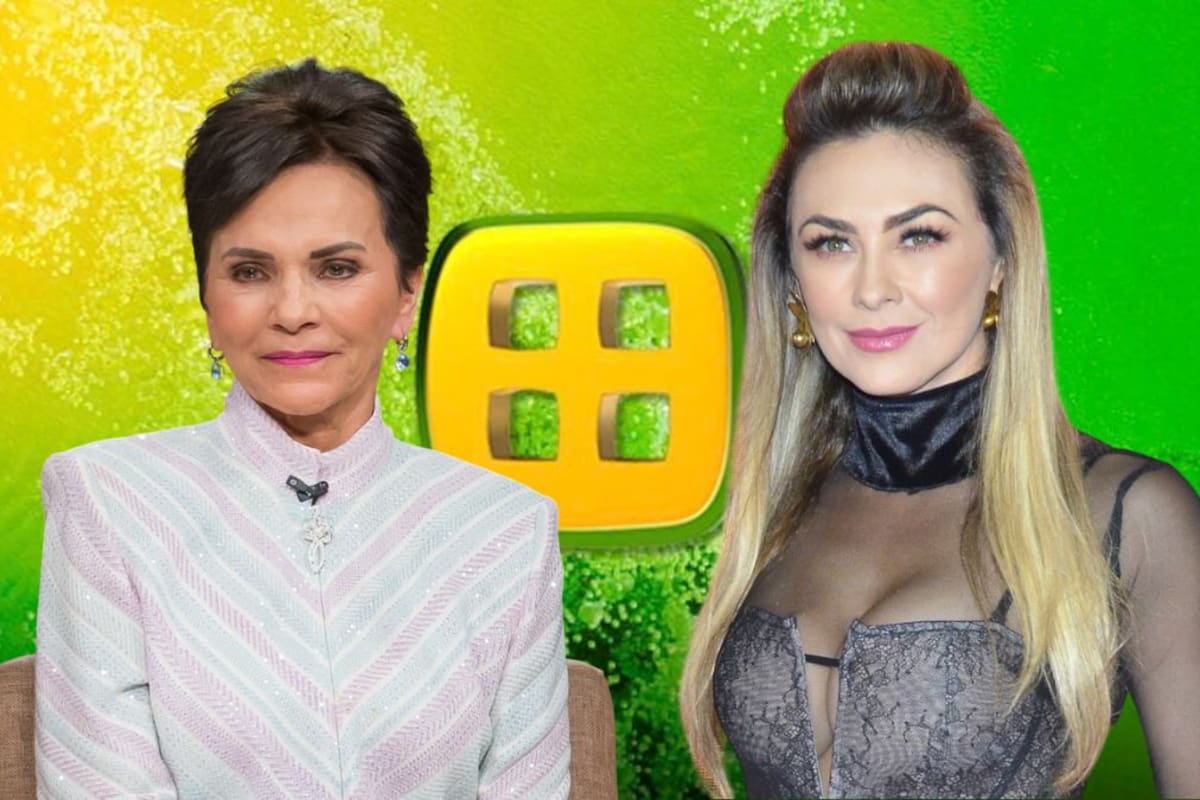 ¿Aracely Arámbula podría demandar a Ventaneando por mostrar a su hijo? Esto dice la ley y la posible multa