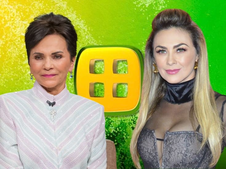 ¿Aracely Arámbula podría demandar a Ventaneando por mostrar a su hijo? Esto dice la ley y la posible multa