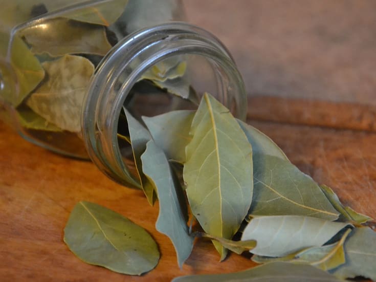 Razones para quemar hojas de laurel en casa y mejorar tu ambiente