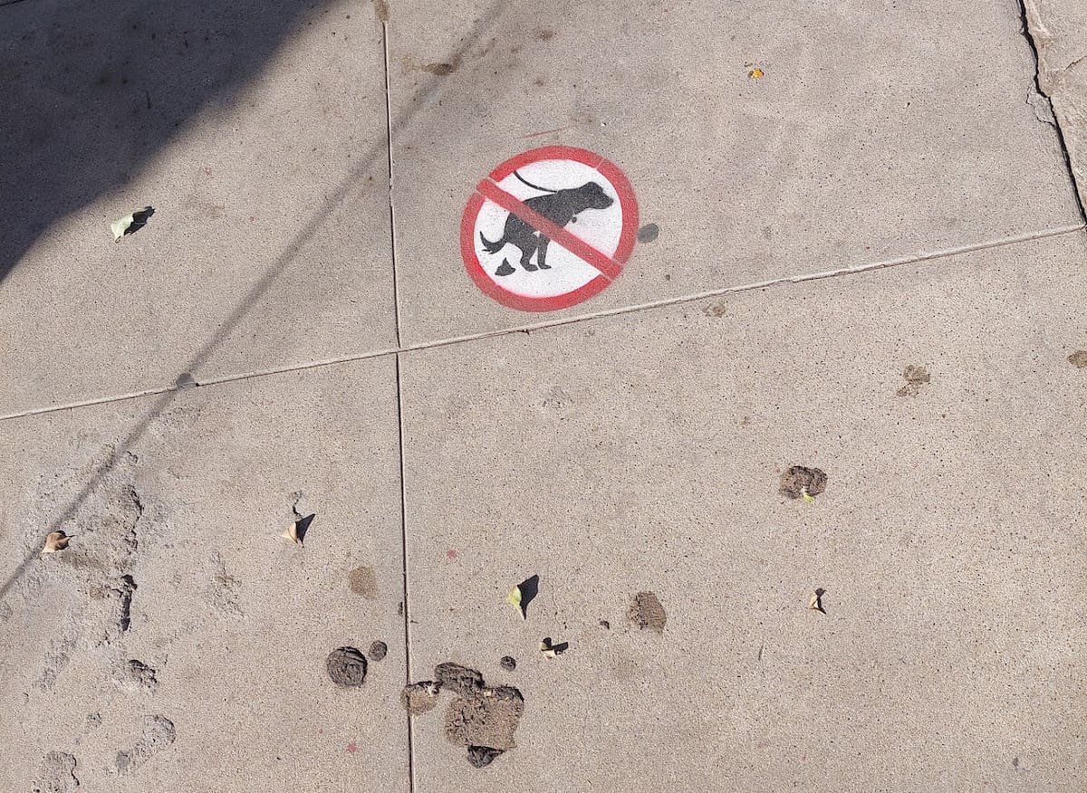 En los últimos meses han aumentado las quejas ciudadanas sobre la presencia de heces fecales de perros en la vía pública. Foto: Cortesía