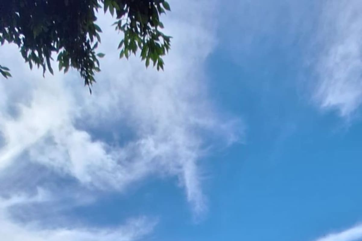 Redadas en LA, comerciantes temen que protestas se transformen en disturbios