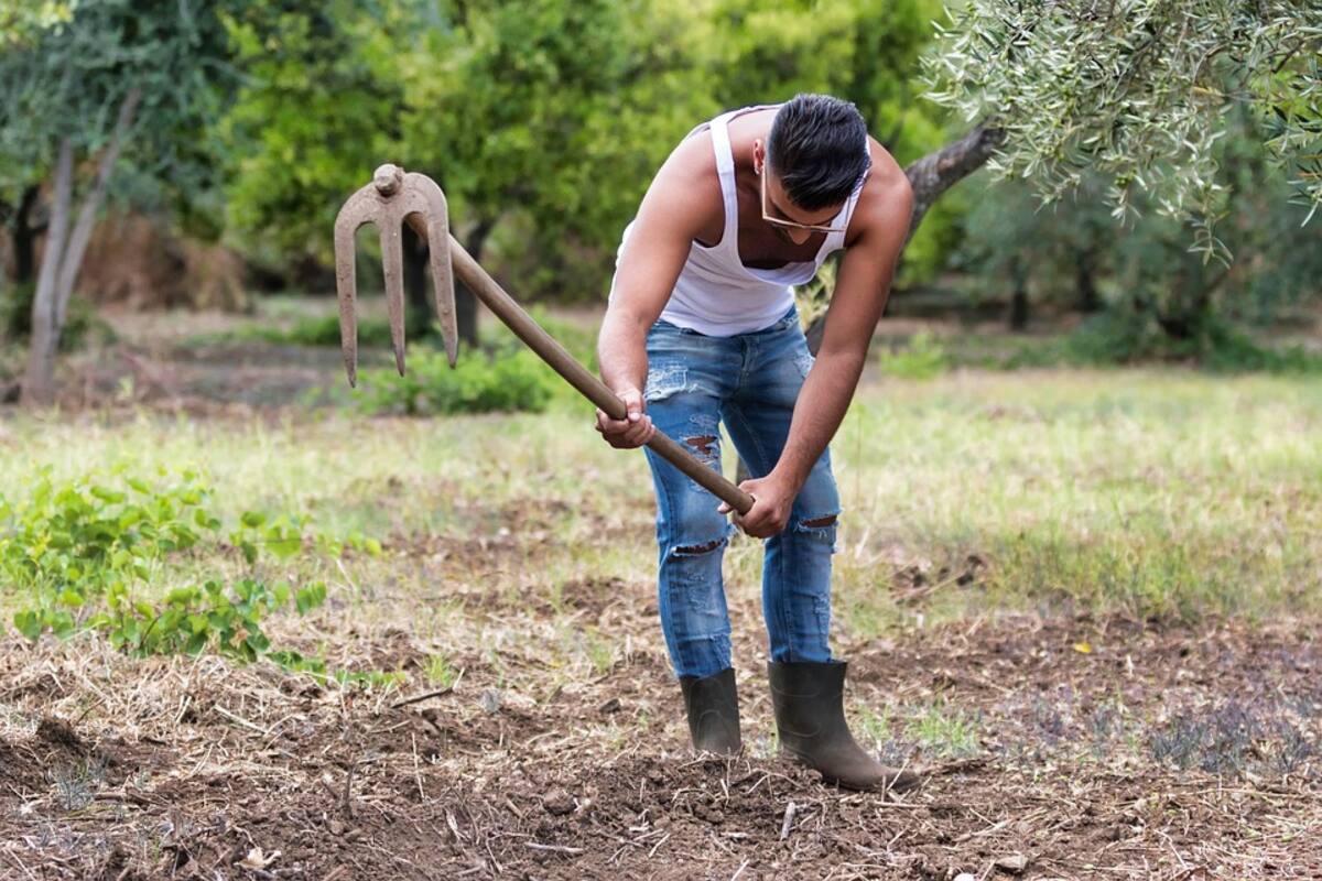 Agricultores, arquitectos y peluqueros los que más tienen sexo: Encuesta