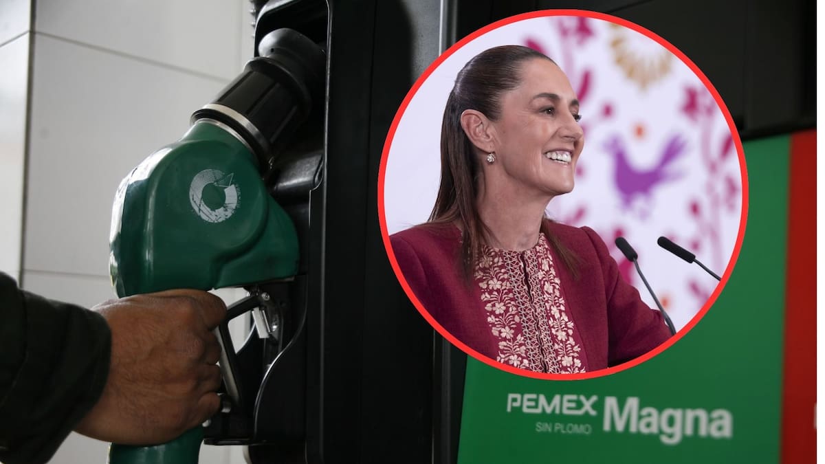 “Pueden cargar Magna”, afirma la presidenta Claudia Sheinbaum como alternativa ante el alto costo de la gasolina Premium