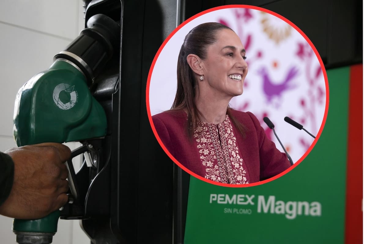 “Pueden cargar Magna”, afirma la presidenta Claudia Sheinbaum como alternativa ante el alto costo de la gasolina Premium