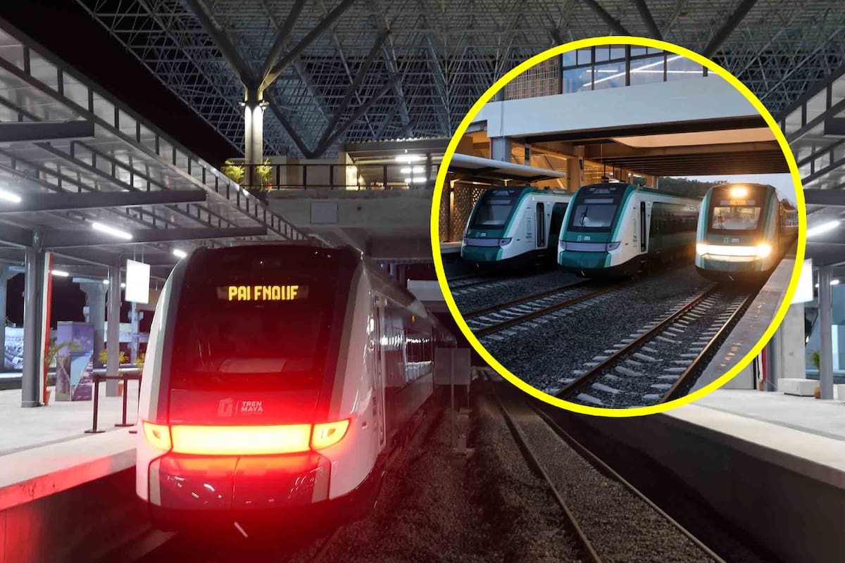 Tren Maya: Conoce los descuentos y promociones para turistas y locales