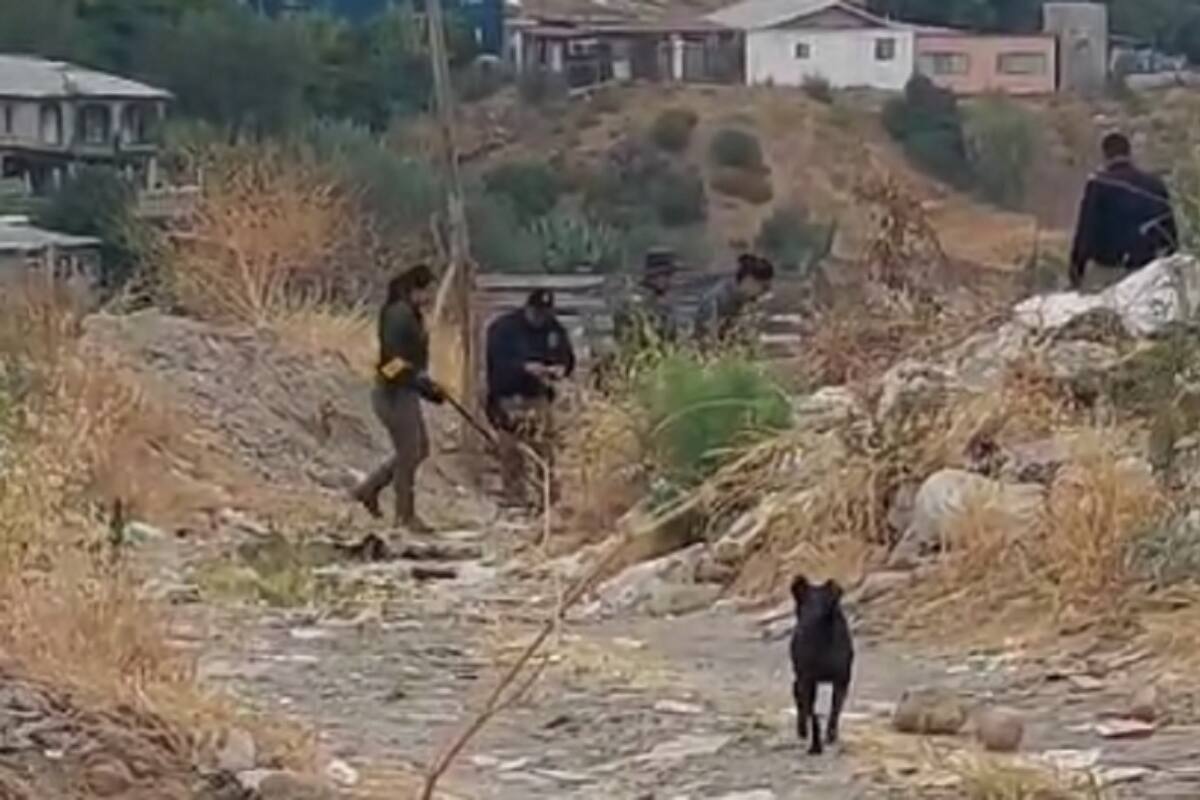 FGE ya investiga asesinato de estudiante del Conalep: Marina del Pilar