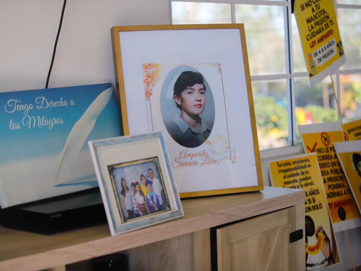 Ana Lidia reconoce que el activismo siempre ha formado parte de ella, pues fue una de las enseñanzas que su madre le dejó: alzar la voz, ayudar a los demás y enfrentar al sistema por aquellos que no lo hacen, pues solo así nacen los cambios l Foto: Juan Jesús Morales