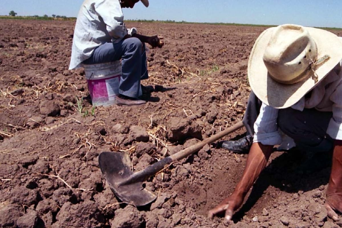 Claman mayos al cielo por lluvias y trabajo