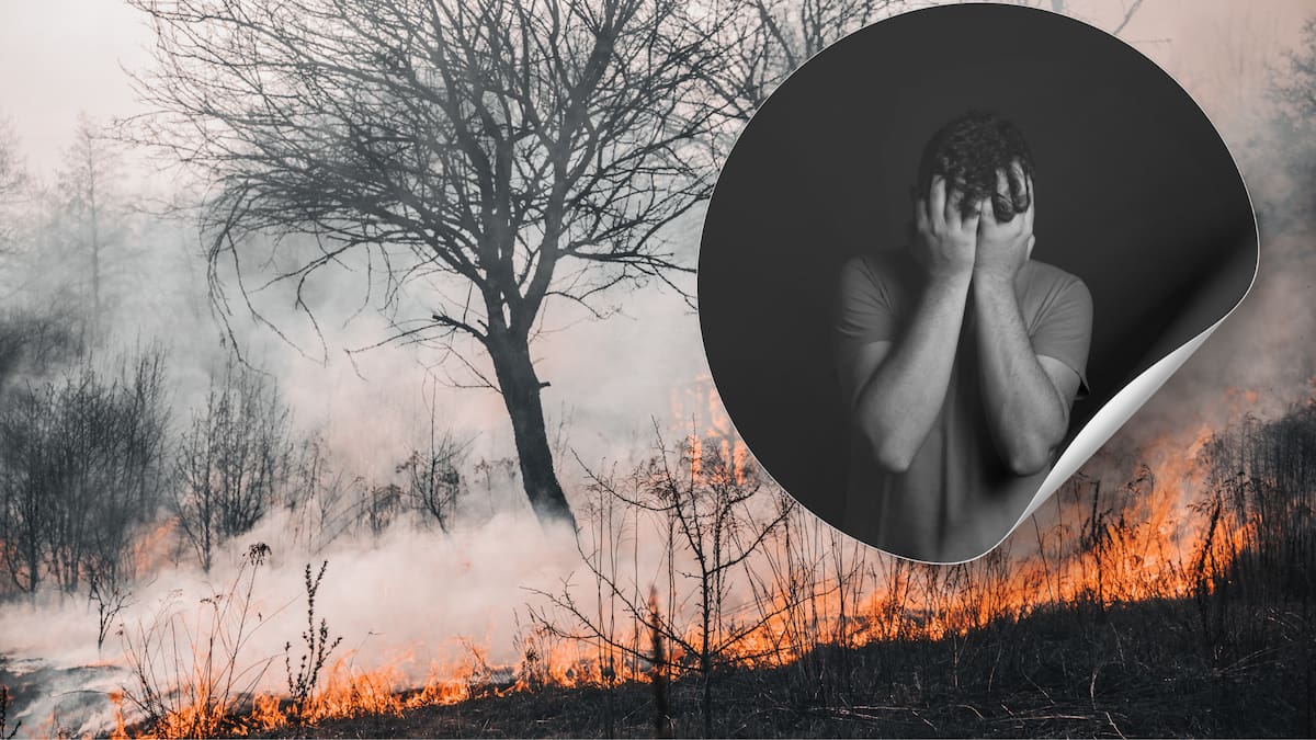 El análisis de datos en California entre julio y diciembre de 2020 mostró que la exposición al humo se asoció con un aumento en las visitas a urgencias por depresión, ansiedad y otros trastornos del estado de ánimo/Foto: Canva