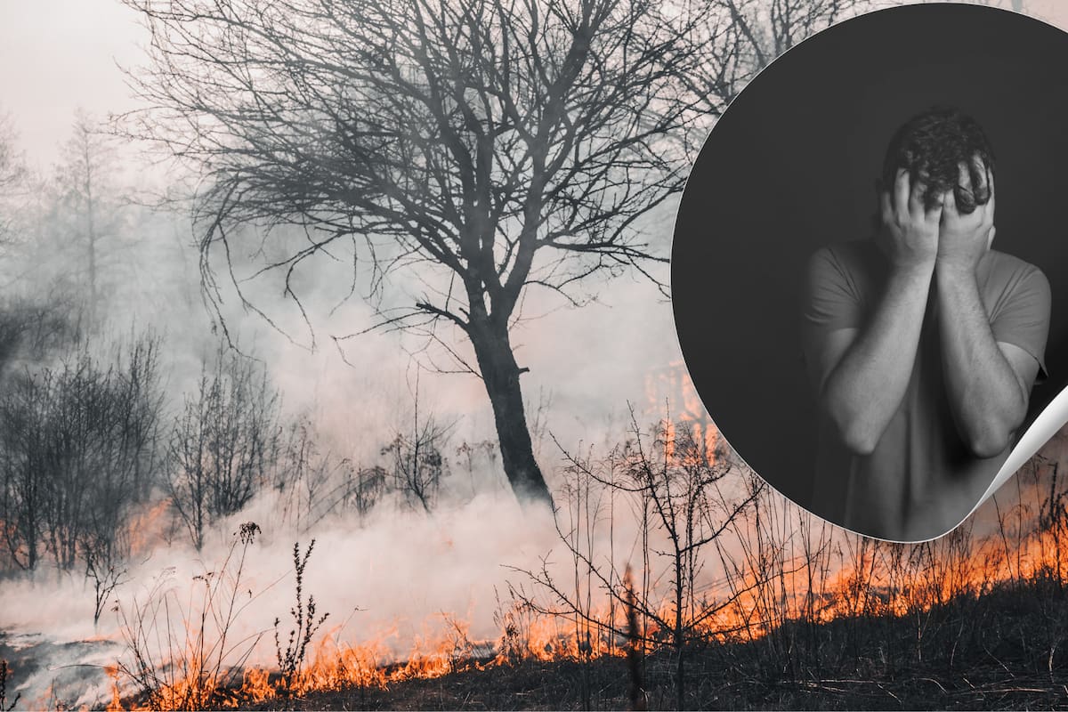 El humo de los incendios forestales tiene consecuencias en la salud mental, según un estudio de Harvard