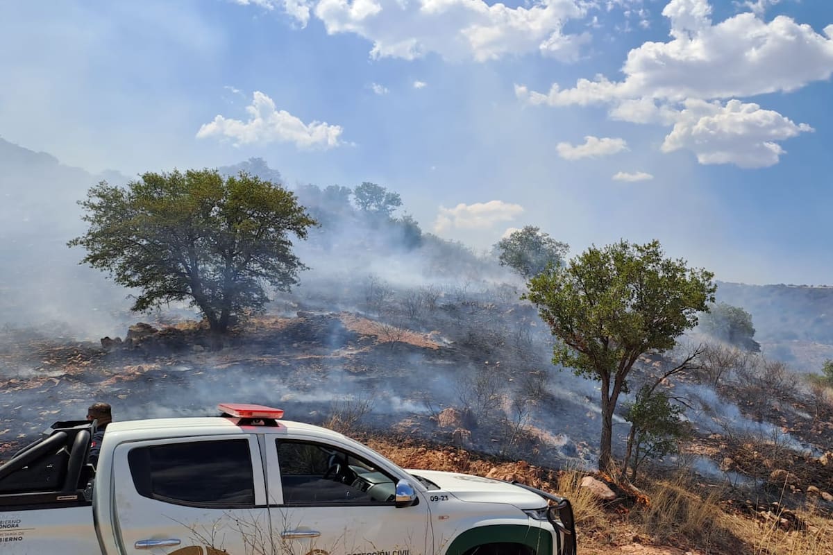 Traen las sequías pérdida de cultivos e incendios forestales a Sonora