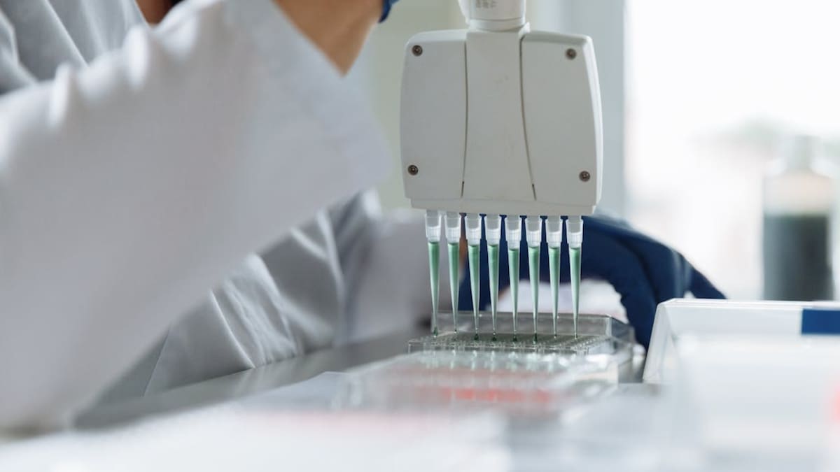 Científicos del IPN logran demostrar que las células madre pueden convertirse en hueso, cartílago y músculo, tejidos que hoy tienen poca capacidad de recuperación natural