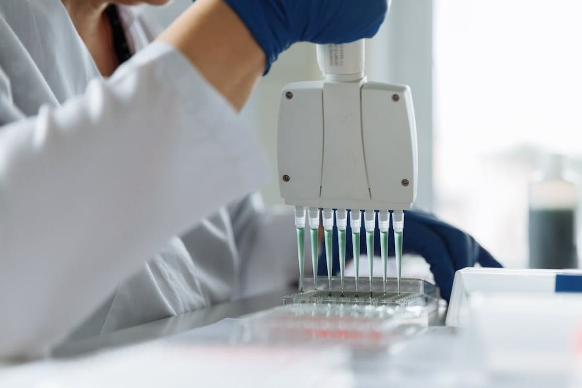 Científicos del IPN logran demostrar que las células madre pueden convertirse en hueso, cartílago y músculo, tejidos que hoy tienen poca capacidad de recuperación natural