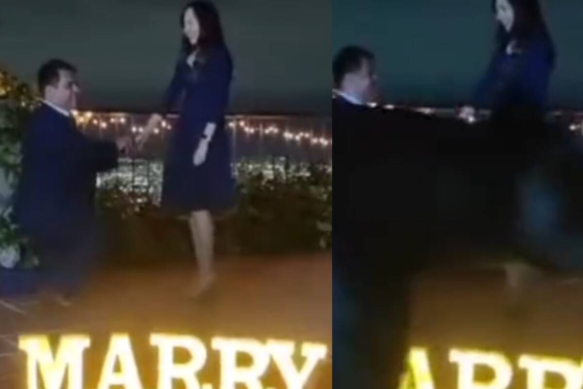 Viral: Oso es testigo de propuesta de matrimonio en Nuevo León