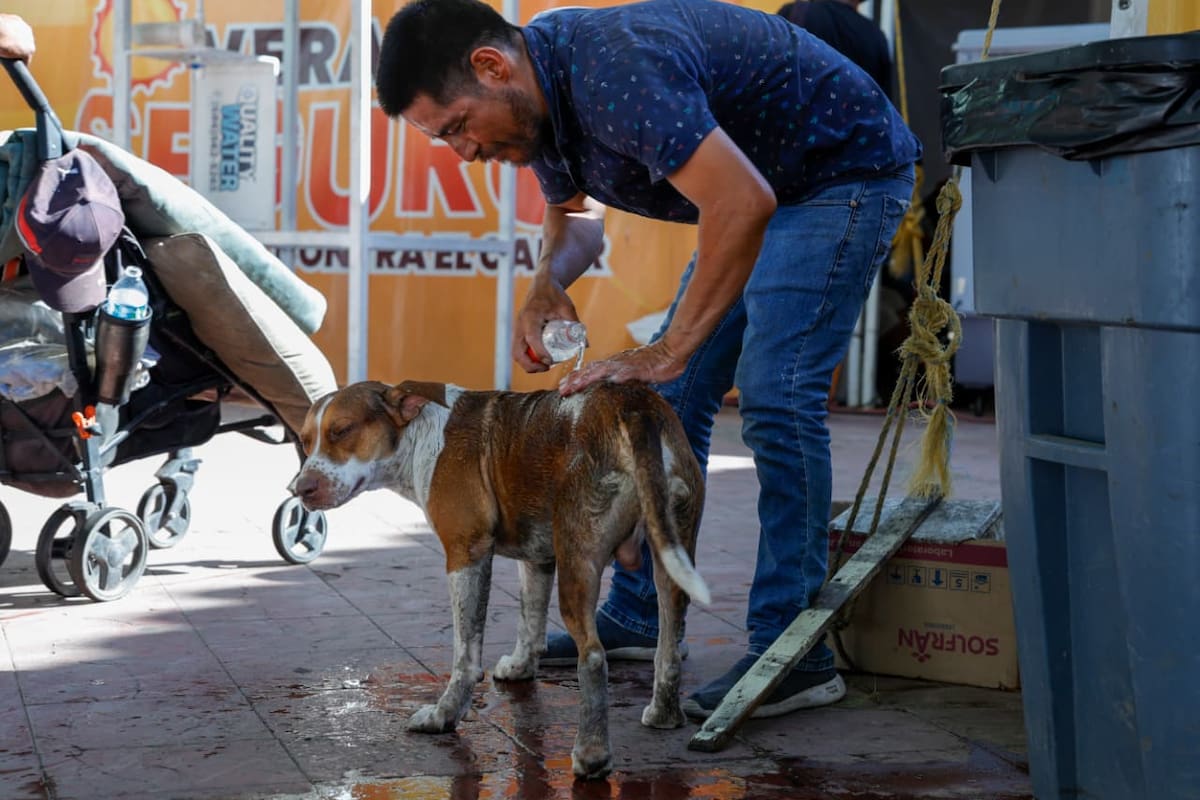 Calor y humedad dispararán la sensación térmica a más de 46 grados este miércoles