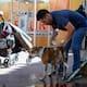 Calor y humedad dispararán la sensación térmica a más de 46 grados este miércoles