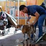 Calor y humedad dispararán la sensación térmica a más de 46 grados este miércoles