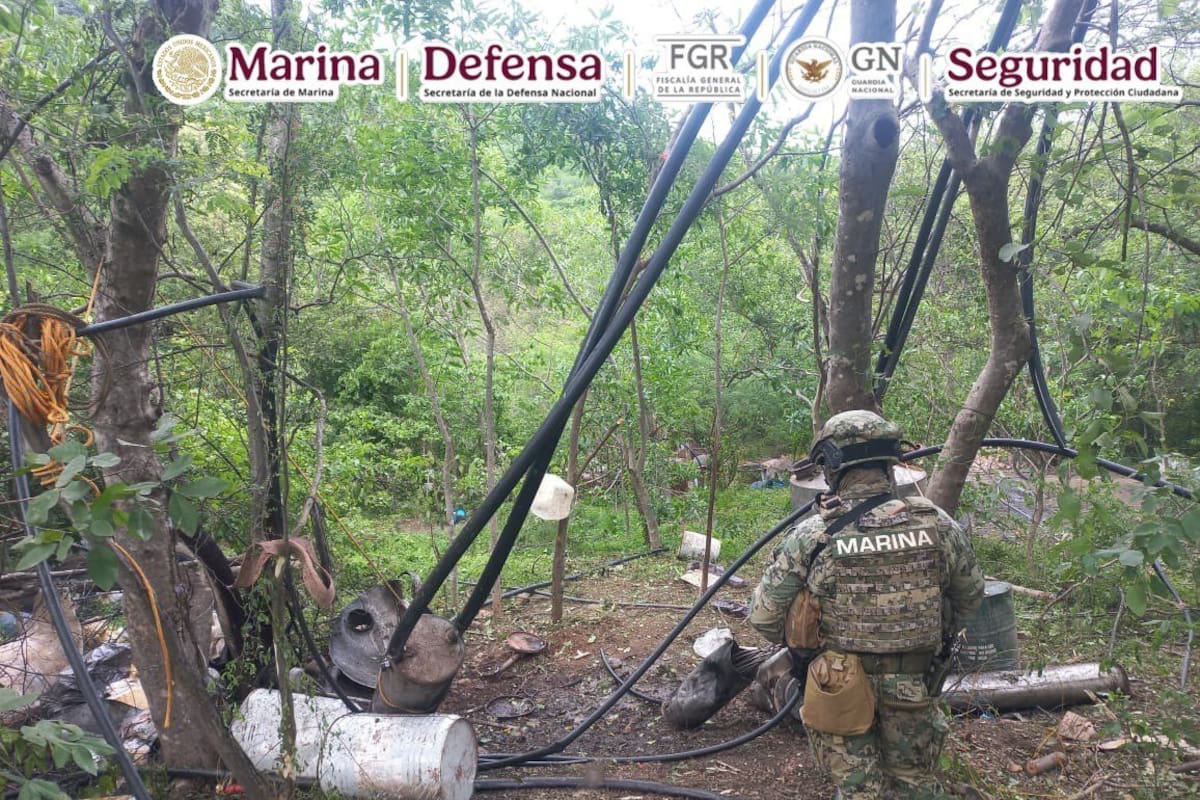 Histórico decomiso de metanfetaminas de ‘Los Mayos’ en Durango: reportan 21 toneladas incautadas