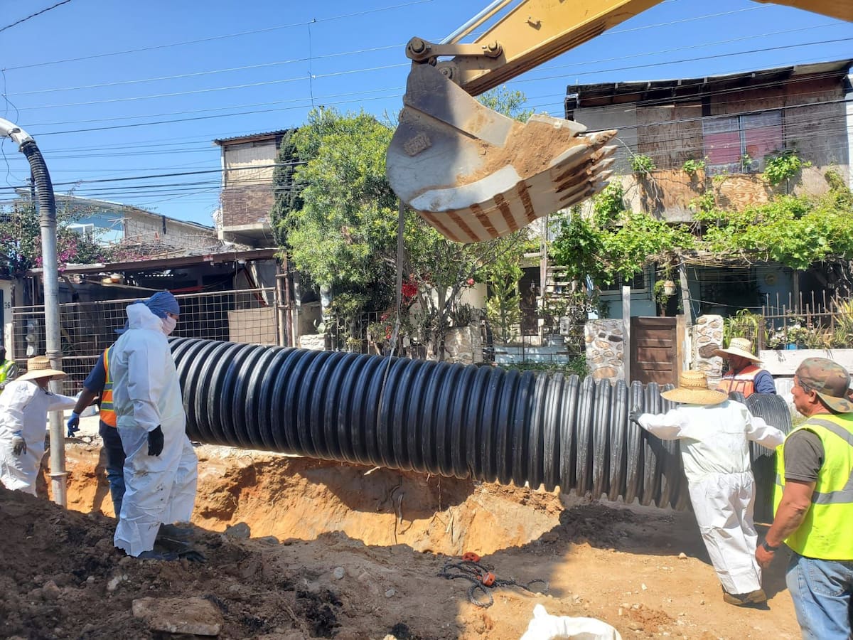 Foto: cortesía